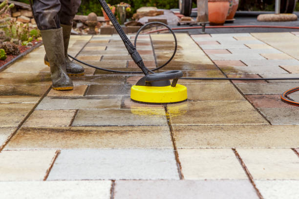 Animal Enclosure Cleaning in Middletown, OH